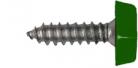 Number Plate Screws Moulded Head 3/4 