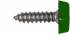 Number Plate Screws