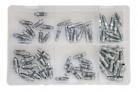 Assorted Box of Bleed Screws/Nipples