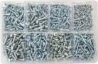 Assorted Self Tapping screws Posidrive 6-12 (800)