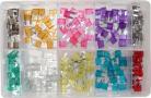 Assorted MINI Blade Fuses (200)