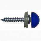 100 x Domed Number Plate Screws (Blue)