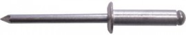 Rivets 4.8 x 12mm Plain   (500)