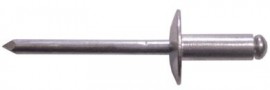 Rivets 4.8 x 25mm Large Flange  (250)