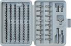 Ultimate 100 Piece Bit Set + Case, for screwdriver